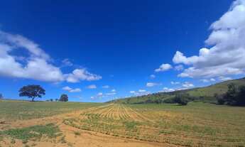 Imagem 2: EXCELENTE SÍTIO AGRICULTÁVEL EM COROMANDEL