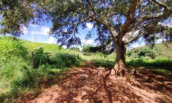 Imagem 5: FAZENDA COM DUPLA APTIDÃO EM CAMPOS ALTOS-MG