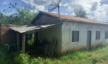 Imagem 7: FAZENDA COM DUPLA APTIDÃO EM CAMPOS ALTOS-MG