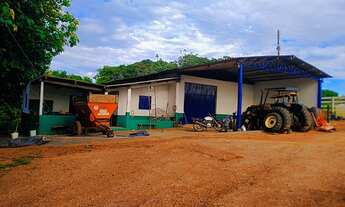 Imagem 5: FAZENDA NA REGIÃO DO RIO PIRAPITINGA COM DUPLA APTIDÃO- PATROCÍNIO -MG