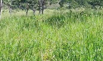 Imagem 5: FAZENDA DUPLA APTIDÃO A VENDA EM LAGAMAR - MG