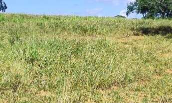 Imagem 4: FAZENDA DUPLA APTIDÃO A VENDA EM LAGAMAR - MG