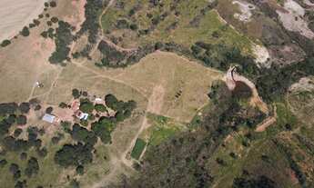 Imagem 1: FAZENDA DUPLA APTIDÃO A VENDA EM LAGAMAR - MG