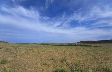 Imagem 2: FAZENDA CANAVIEIRA EM VEREDAS, MUNICÍPIO DE JOÃO PINHEIRO