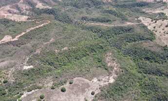 Imagem 3: EXCELENTE FAZENDA AGRICULTÁVEL EM PRESIDENTE OLEGÁRIO/MG