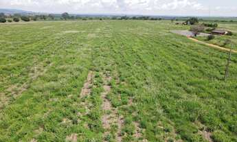 Imagem 2: EXCELENTE FAZENDA AGRICULTÁVEL NA REGIÃO DO JACU TOTALMENTE PLANA EM CRUZEIRO DA FORTALEZA