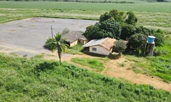 Imagem 3: EXCELENTE FAZENDA AGRICULTÁVEL NA REGIÃO DO JACU TOTALMENTE PLANA EM CRUZEIRO DA FORTALEZA