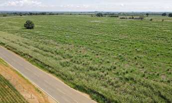 Imagem 6: EXCELENTE FAZENDA AGRICULTÁVEL NA REGIÃO DO JACU TOTALMENTE PLANA EM CRUZEIRO DA FORTALEZA