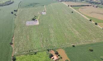 Imagem 5: EXCELENTE FAZENDA AGRICULTÁVEL NA REGIÃO DO JACU TOTALMENTE PLANA EM CRUZEIRO DA FORTALEZA