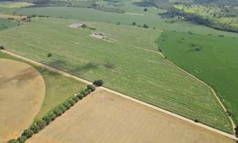 Imagem 7: EXCELENTE FAZENDA AGRICULTÁVEL NA REGIÃO DO JACU TOTALMENTE PLANA EM CRUZEIRO DA FORTALEZA