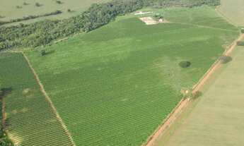 Imagem: EXCELENTE FAZENDA CAFEEIRA EM PATROCÍNIO-MG