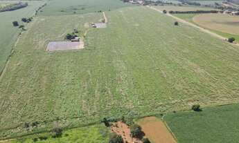 Imagem: EXCELENTE FAZENDA AGRICULTÁVEL NA REGIÃO