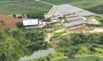 Imagem 2: EXCELENTE FAZENDA CAFEEIRA EM CRUZEIRO DA FORTALEZA-MG