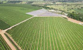 Imagem: EXCELENTE FAZENDA CAFEEIRA EM CRUZEIRO DA