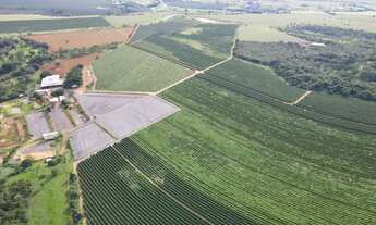 Imagem 6: EXCELENTE FAZENDA CAFEEIRA EM CRUZEIRO DA FORTALEZA-MG