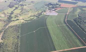 Imagem 7: EXCELENTE FAZENDA CAFEEIRA EM CRUZEIRO DA FORTALEZA-MG