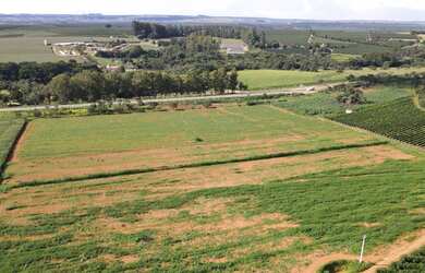 Imagem 3: EXCELENTE TERRENO ÀS MARGENS DA BR-365