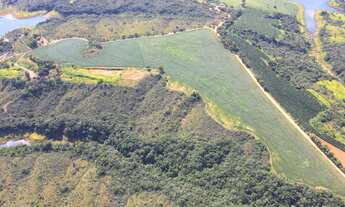 Imagem: Excelente fazenda na região de Santa Luzia