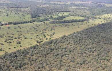 Imagem 6: EXCELENTE FAZENDA DE DUPLA APTIDÃO - TRÊS MARIAS/MG