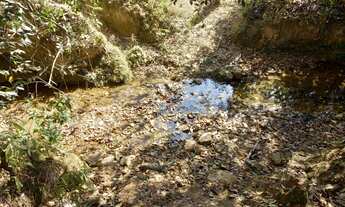Imagem 4: SITIO PARA PLANTIO OU PASTO ENTRE PATROCÍNIO E COROMANDEL