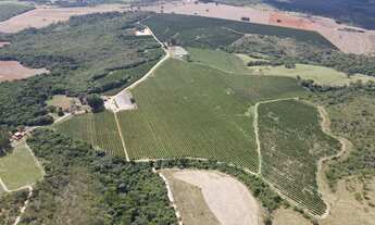 Imagem 4: FAZENDA NA REGIÃO DO RIO PIRAPITINGA COM DUPLA APTIDÃO- PATROCÍNIO -MG