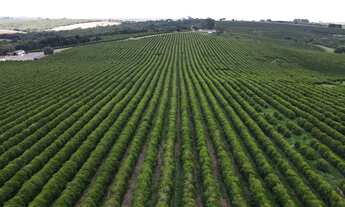 Imagem 2: FAZENDA NA REGIÃO DO RIO PIRAPITINGA COM DUPLA APTIDÃO- PATROCÍNIO -MG