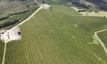 Imagem 3: FAZENDA NA REGIÃO DO RIO PIRAPITINGA COM DUPLA APTIDÃO- PATROCÍNIO -MG