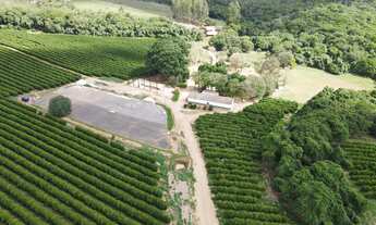 Imagem: FAZENDA NA REGIÃO DO RIO PIRAPITINGA COM