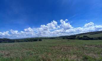 Imagem 5: FAZENDA DE DUPLA APTIDÃO ? SERRA DO SALITRE/MG