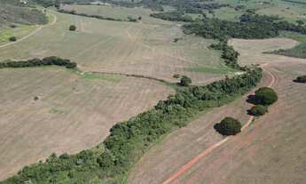 Imagem 2: FAZENDA DE DUPLA APTIDÃO ? SERRA DO SALITRE/MG
