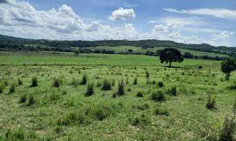 Imagem 6: FAZENDA DE DUPLA APTIDÃO ? SERRA DO SALITRE/MG