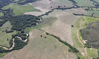 Imagem 3: FAZENDA DE DUPLA APTIDÃO ? SERRA DO SALITRE/MG