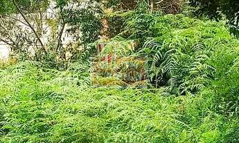 Imagem 6: Terreno RESIDENCIAL em Balneário Camburiú - SC, Nações