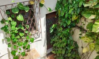 Imagem 4: MADUREIRA/3 QUARTOS /QUINTAL/GARAGEM