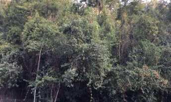 Imagem 4: APARTAMENTO RESIDENCIAL em NITERÓI - RJ, MACEIÓ