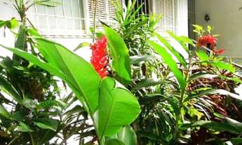 Imagem 2: CASA RESIDENCIAL À VENDA, JARDIM BOTÂNICO, RIO DE JANEIRO