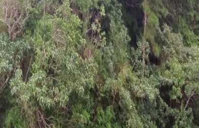 Imagem 6: APARTAMENTO RESIDENCIAL em Bertioga - SP, Centro