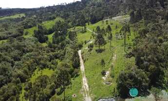 Imagem: Sítio para turismo em Otacílio Costa