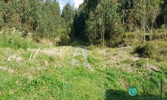 Imagem 3: 2 dormitórios, 1 banheiros, 50000M² de Área Construída