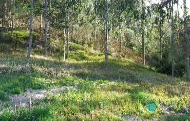 Imagem 6: 2 dormitórios, 1 banheiros, 50000M² de Área Construída