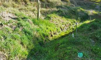 Imagem 4: 2 dormitórios, 1 banheiros, 50000M² de Área Construída