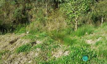 Imagem 2: 2 dormitórios, 1 banheiros, 50000M² de Área Construída