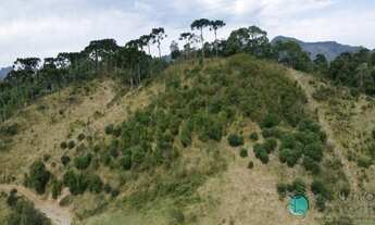 Imagem: Sítio para turismo na Cidade de Alfredo