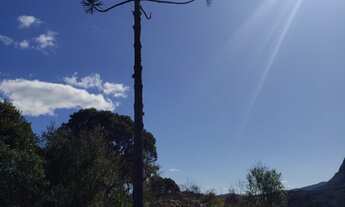 Imagem 7: SÍTIO NA SERRA CATARINENSE