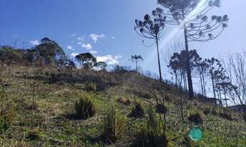 Imagem 2: SÍTIO NA SERRA CATARINENSE