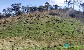 Imagem: SÍTIO NA SERRA CATARINENSE
