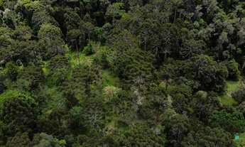 Imagem 4: Sítio para investimento em Bom Retiro - SC