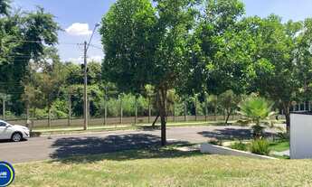 Imagem 3: Ótimo no Jardins Di Roma