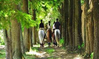 Imagem 5: TERRENO HARAS LARISSA