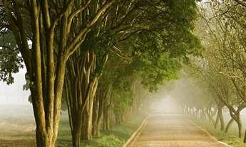 Imagem 6: TERRENO HARAS LARISSA